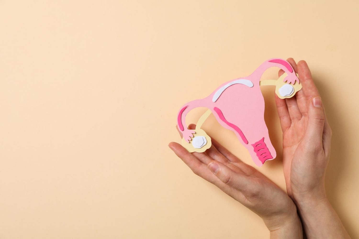 Gynecology & Obstetrics